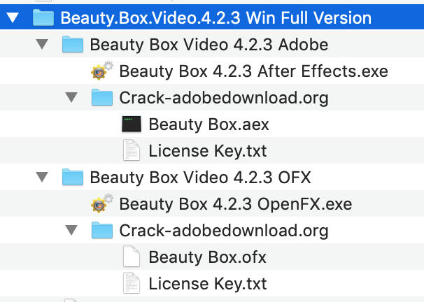 Beauty Box Plugin Premiere Pro Free Download Mac